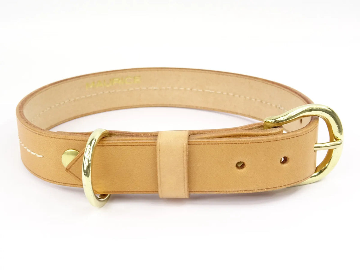 Collier pour chien en cuir CANIS LUPUS - 4