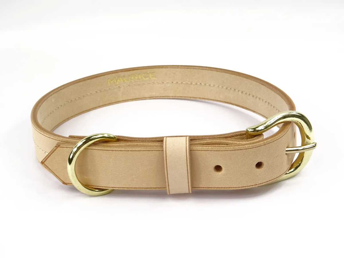 Collier pour chien en cuir CANIS LUPUS - 5