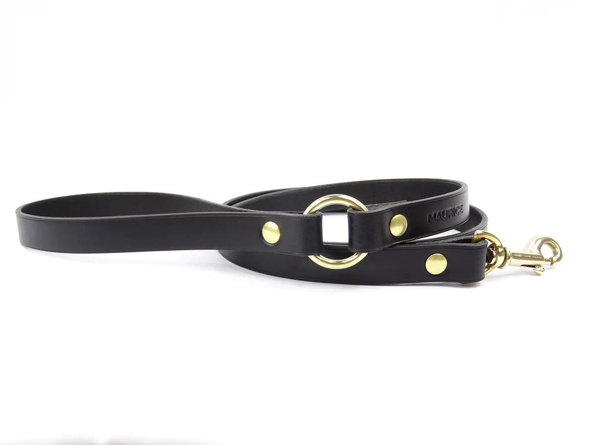 Laisse en cuir pour chien DUGONG DUGON - 5
