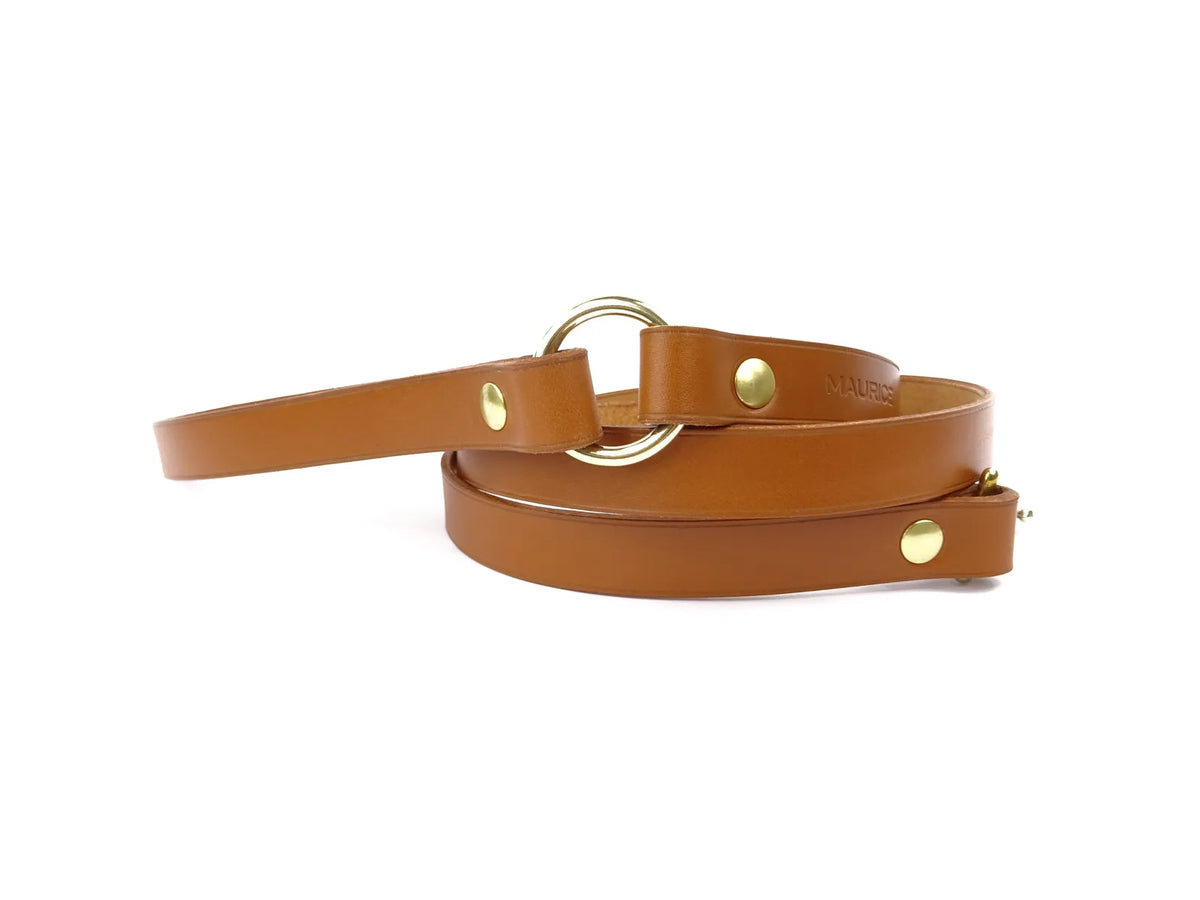 Laisse en cuir pour chien DUGONG DUGON - 4