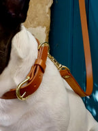 Kit balade collier + laisse CANIS  LUPUS - 3