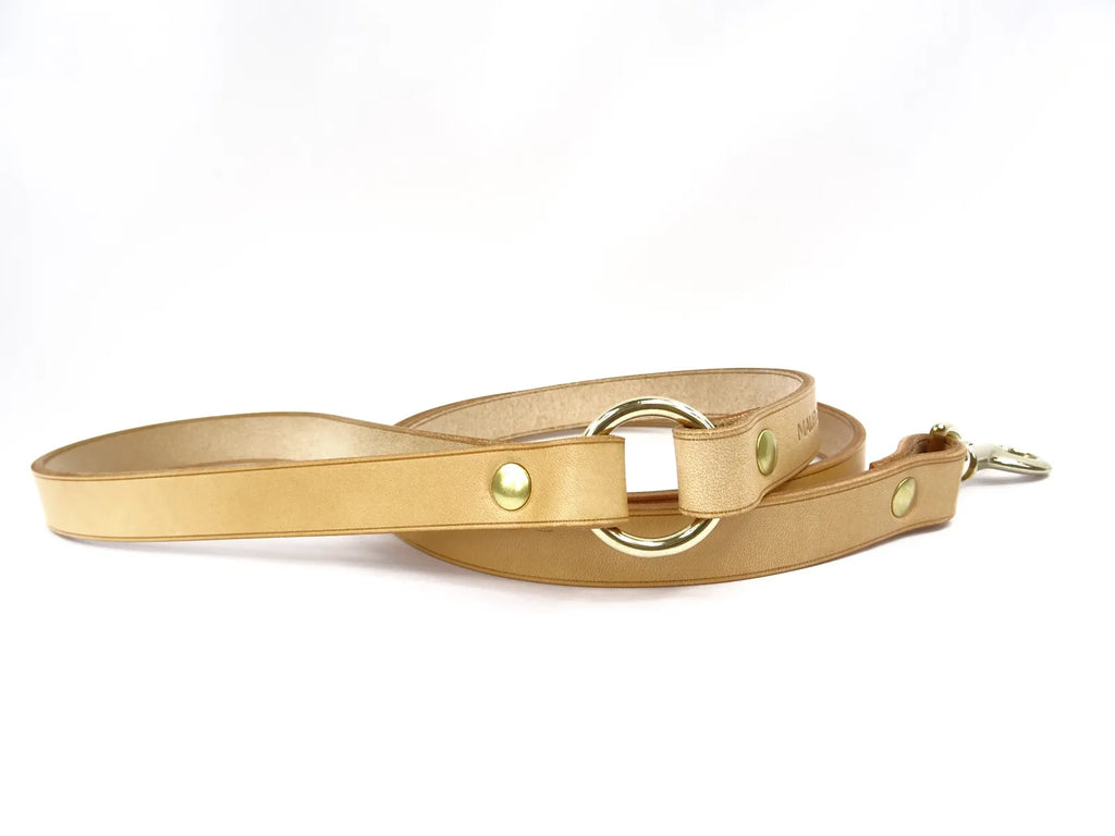 Laisse en cuir pour chien DUGONG DUGON - 3