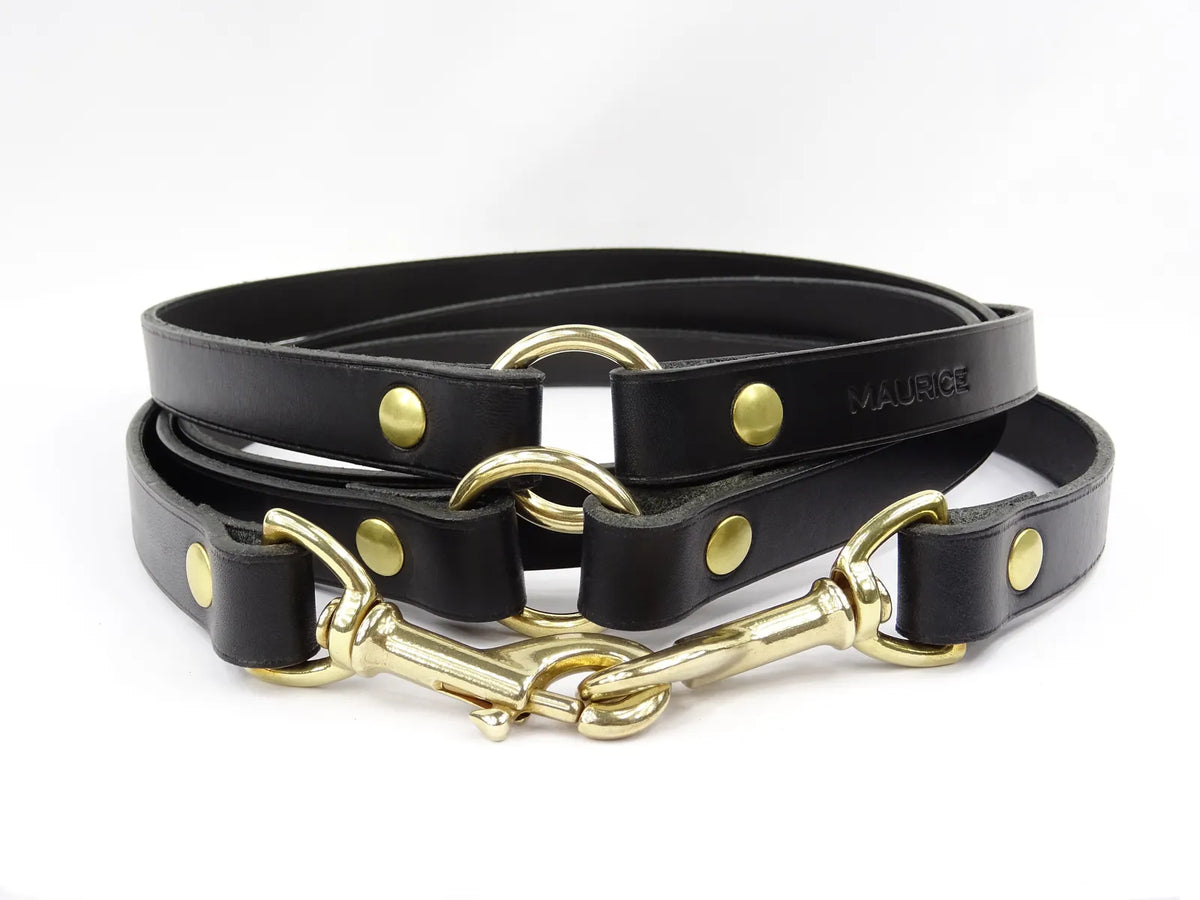 Grande laisse polyvalente en cuir pour chien RHINOCEROS SONDAICUS - 5