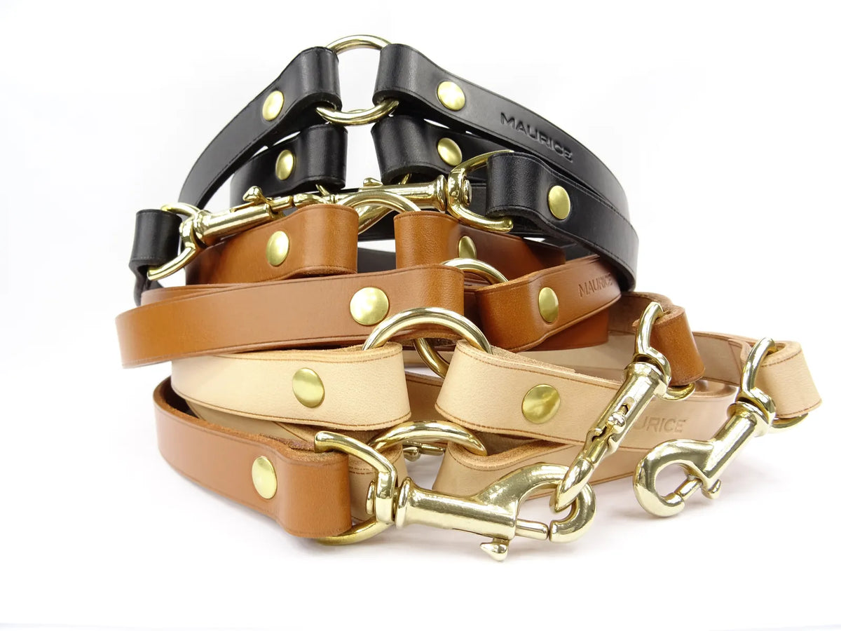 Grande laisse polyvalente en cuir pour chien RHINOCEROS SONDAICUS - 1