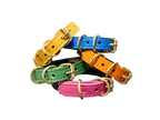 Collier pour chat en cuir LYNX LYNX - 1