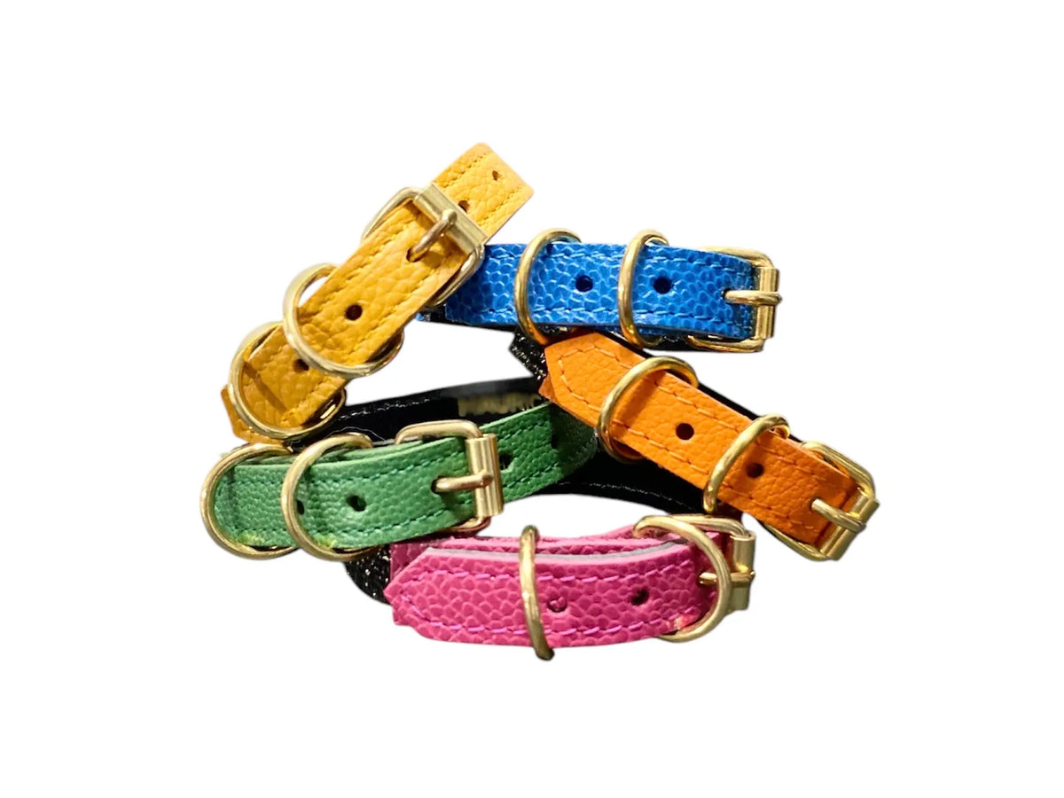 Collier pour chat en cuir LYNX LYNX - 1