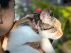 Collier pour chat en nubuck PANTHERA UNCIA - 2