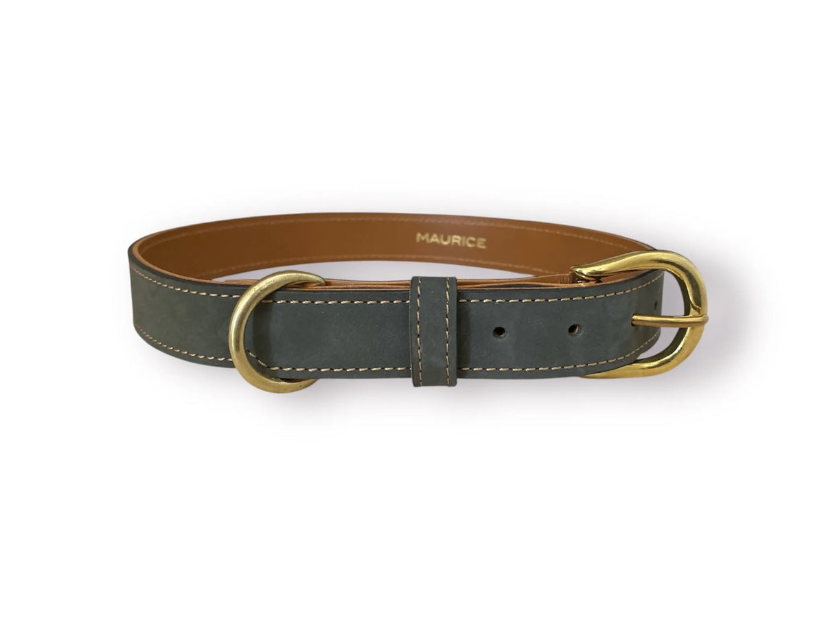 Collier pour chien en nubuck URSUS ARCTOS - 4