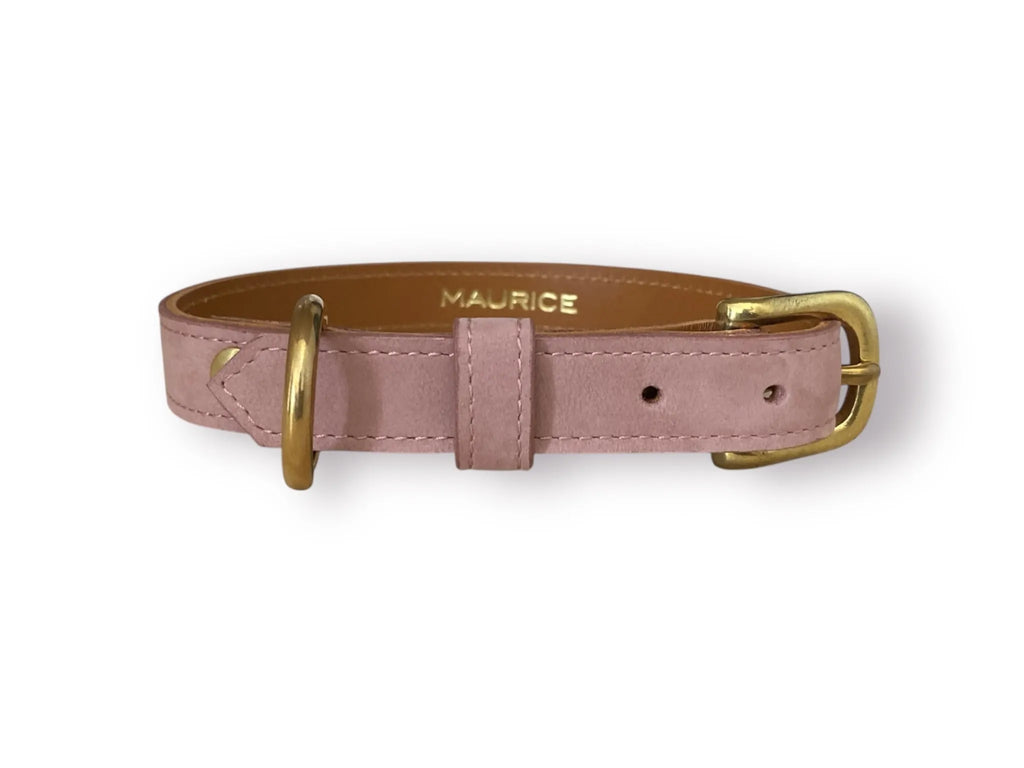 Collier pour chien en nubuck URSUS ARCTOS - 3