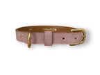 Collier pour chien en nubuck URSUS ARCTOS - 3