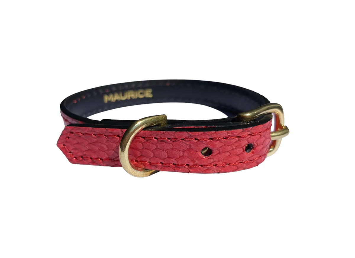 Collier pour petit chien en cuir marin PONGO - 4