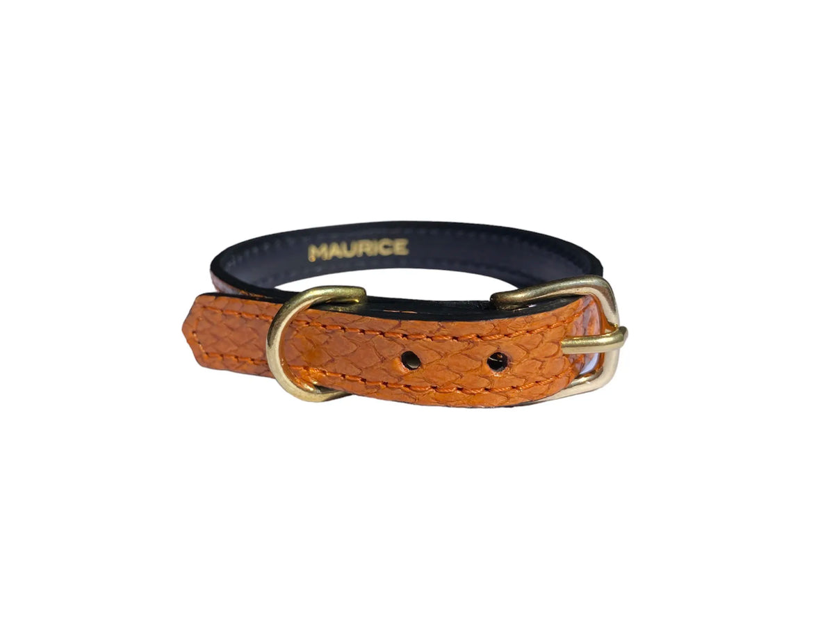 Collier pour petit chien en cuir marin PONGO - 5