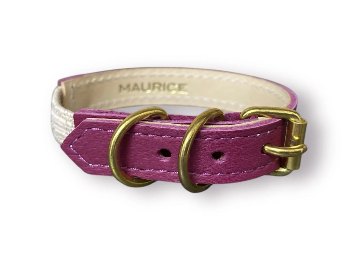 Collier pour chat en cuir ACINONYX JUBATUS - 7