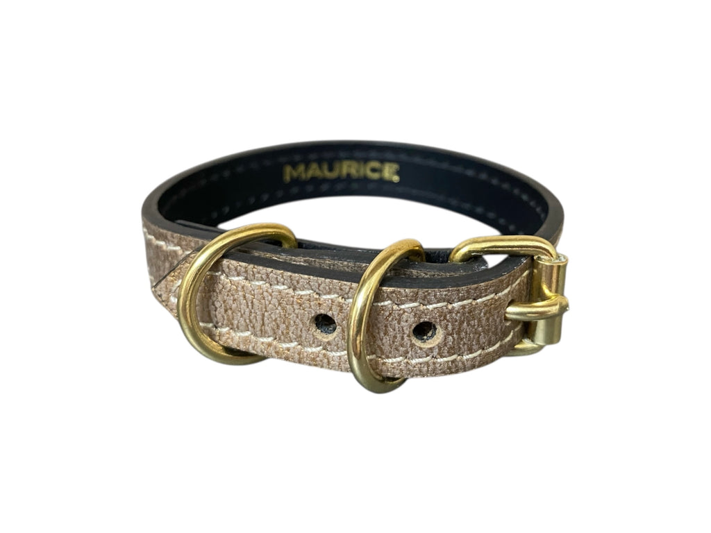 Collier pour chihuahua en cuir MEGAPTERA NOVAEANGLIAE - 2
