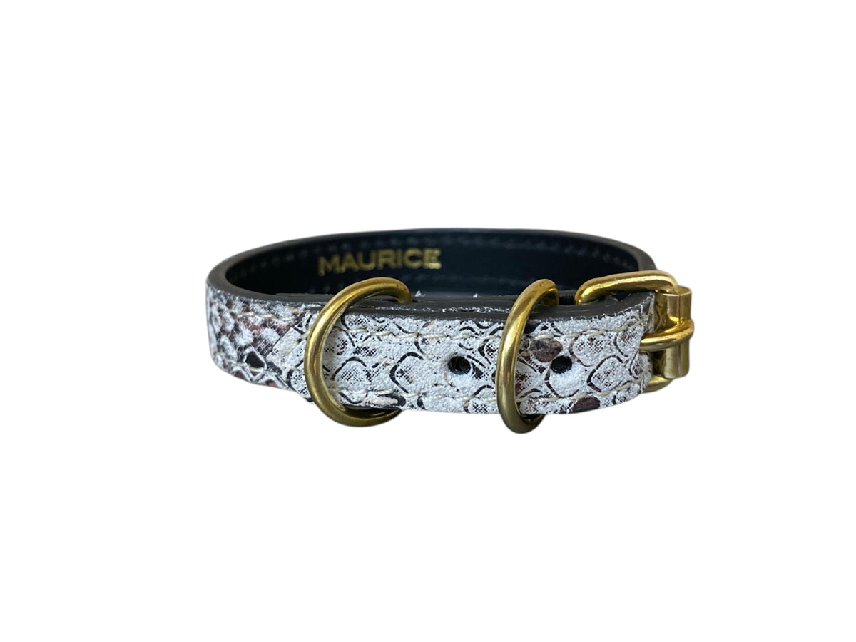 Collier pour chihuahua en cuir MEGAPTERA NOVAEANGLIAE - 4