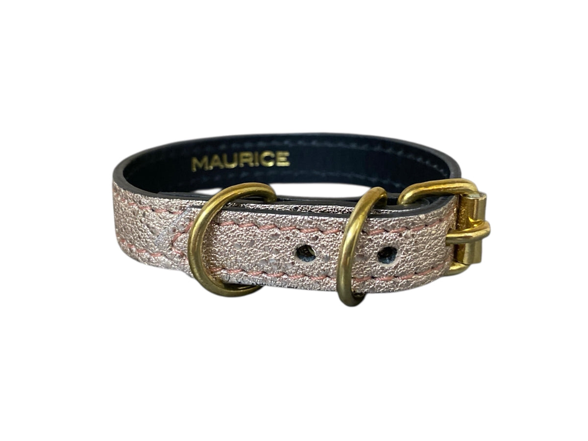 Collier pour chihuahua en cuir MEGAPTERA NOVAEANGLIAE - 5