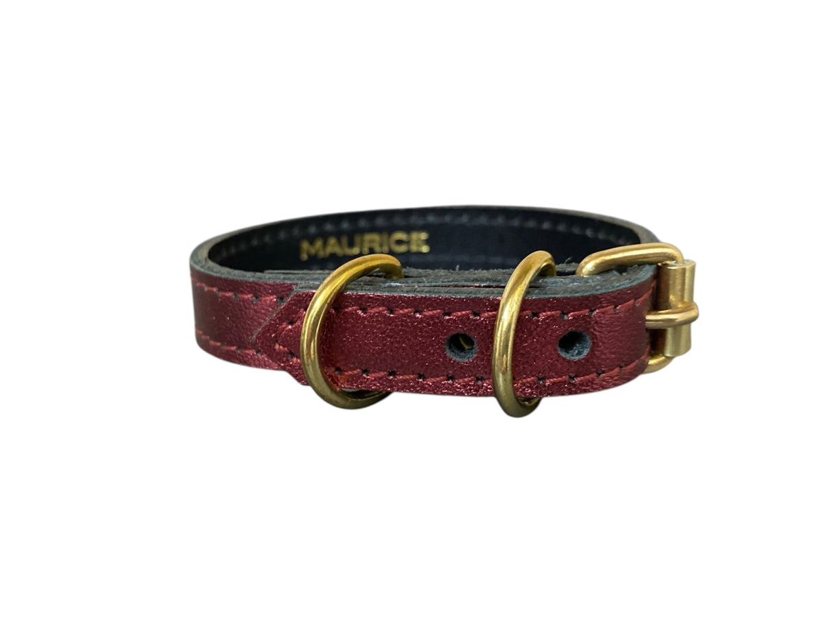Collier pour chihuahua en cuir MEGAPTERA NOVAEANGLIAE - 6