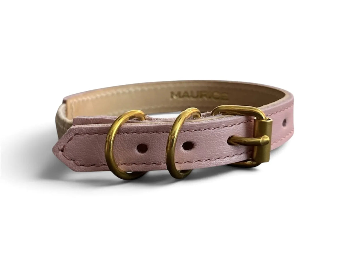 Collier pour chat en cuir ACINONYX JUBATUS - 3