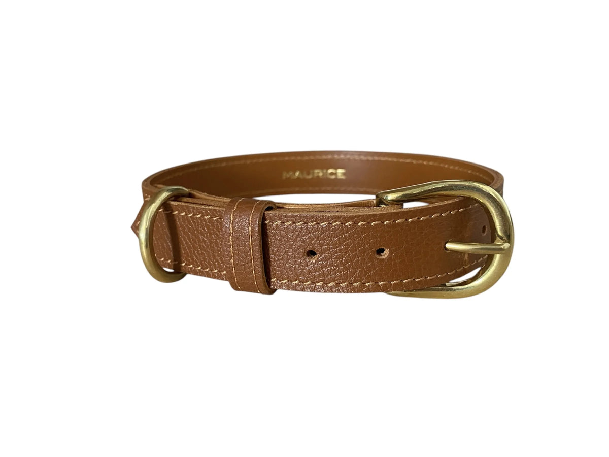 Collier pour chien en cuir grainé AILURUS FULGENS - 6