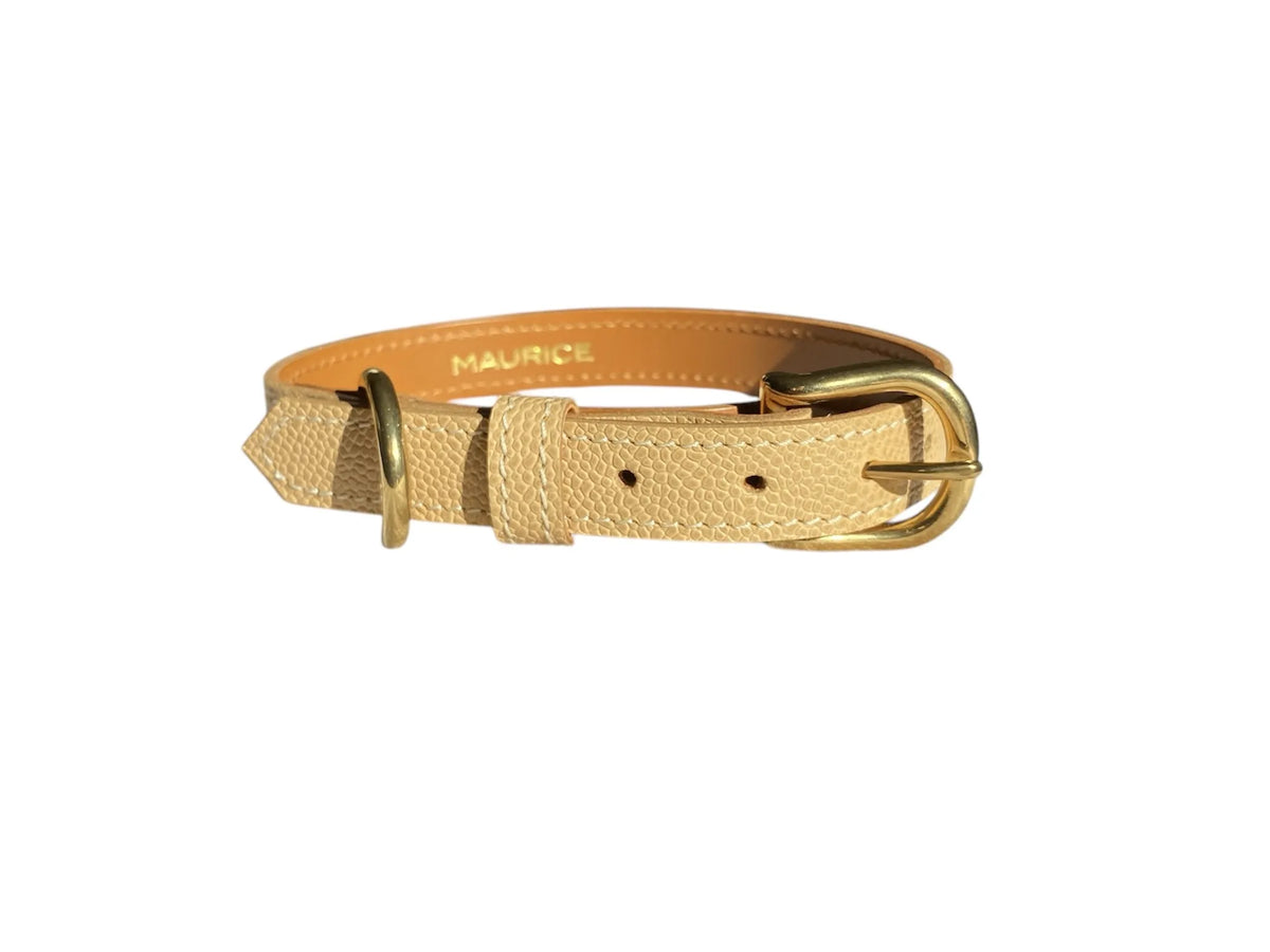 Collier pour chien en cuir grainé AILURUS FULGENS - 4
