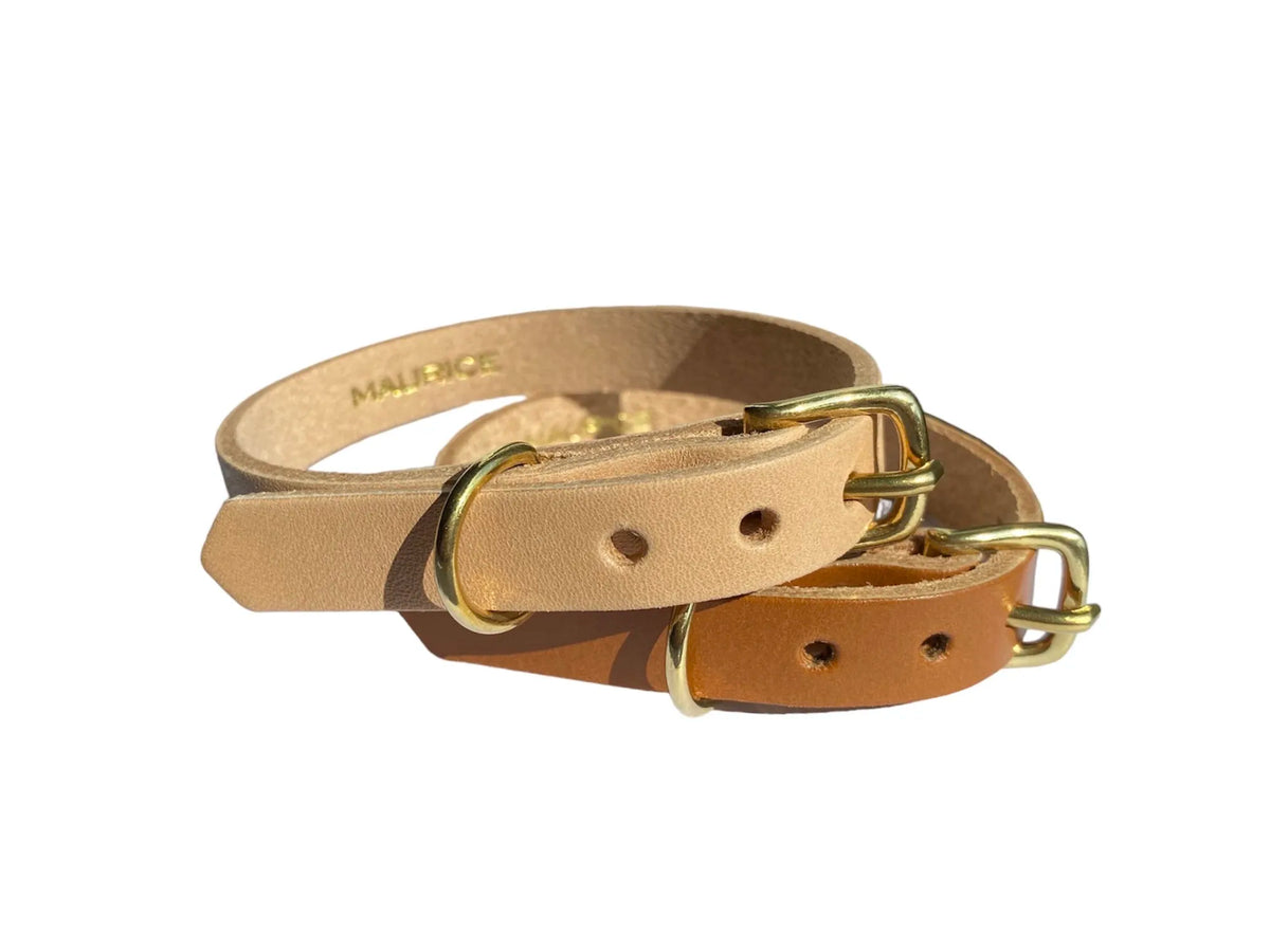 Collier pour petit chien en cuir LYCAON PICTUS - 1