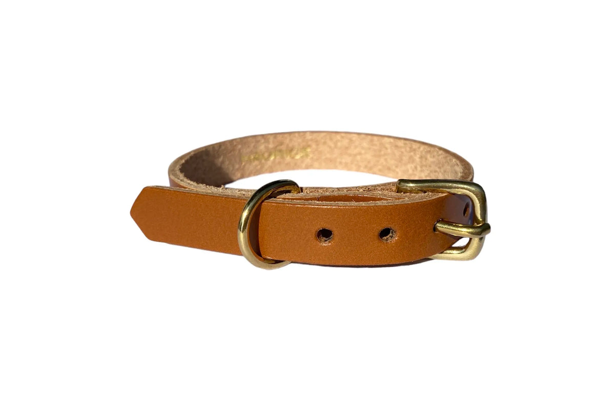Collier pour petit chien en cuir LYCAON PICTUS - 4