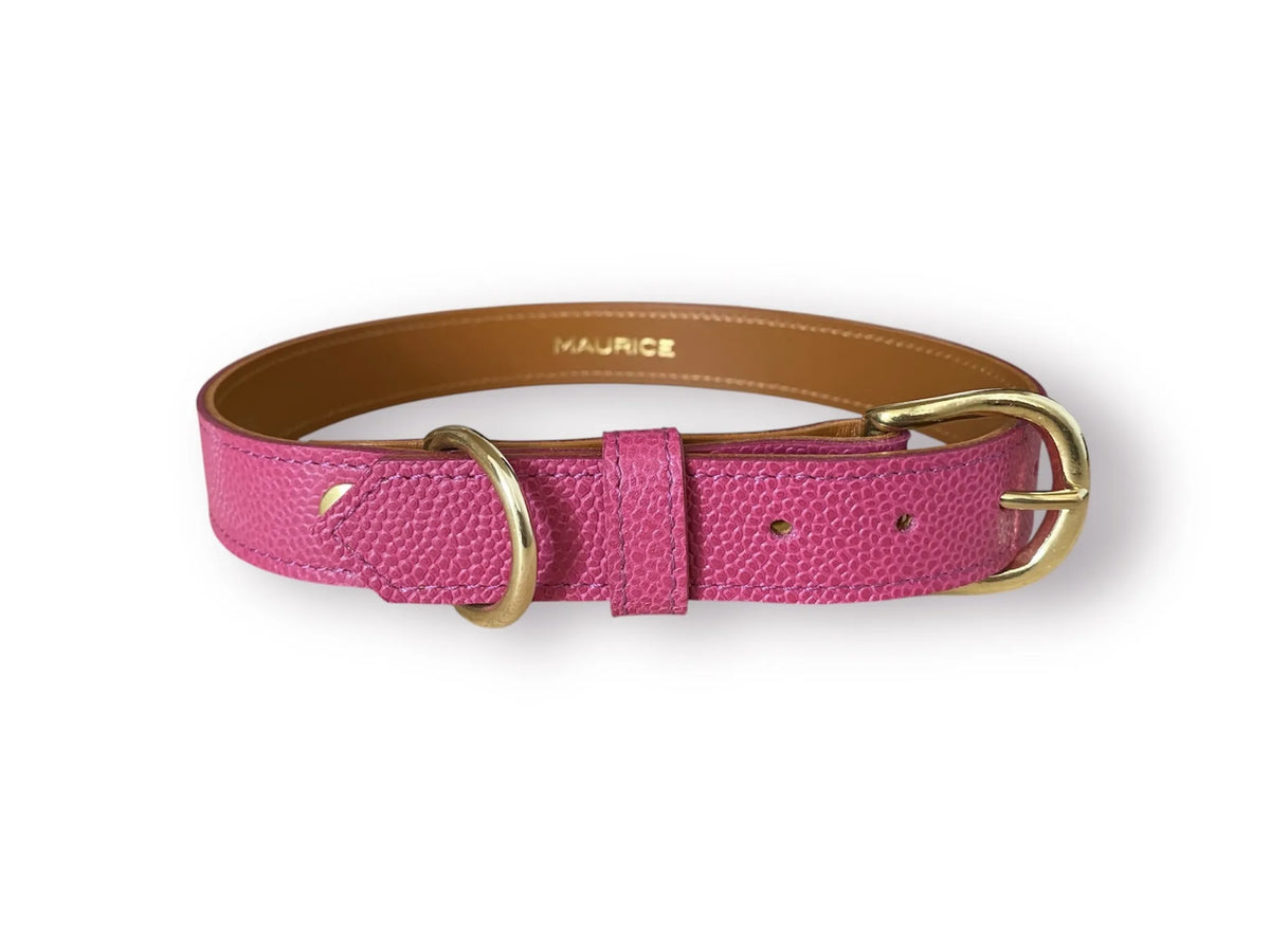 Collier pour chien en cuir grainé AILURUS FULGENS - 3