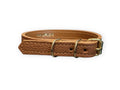 Collier pour petit chien en cuir grainé ATELES HYBRIDUS - 2