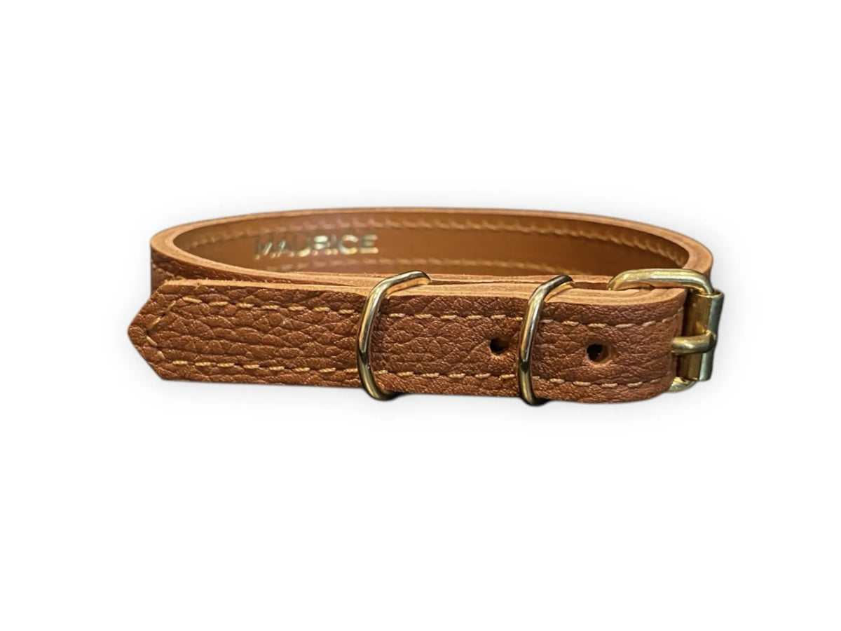 Collier pour petit chien en cuir grainé ATELES HYBRIDUS - 2