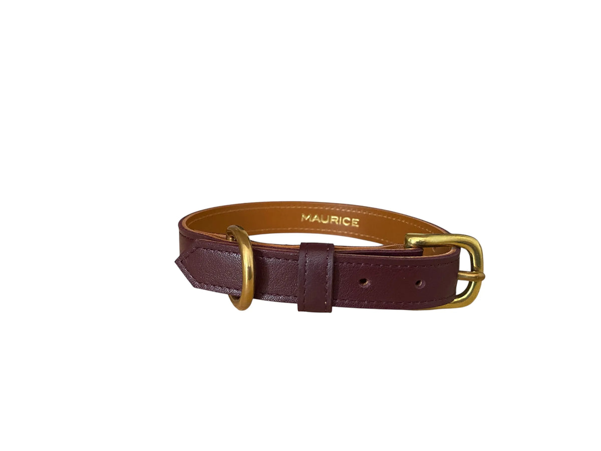 Collier pour chien en cuir HYÆNA BRUNNEA - 4