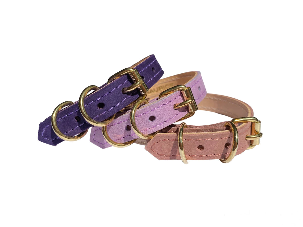 Collier pour chat en nubuck PANTHERA UNCIA - 1