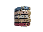 Collier pour chihuahua en cuir MEGAPTERA NOVAEANGLIAE - 1