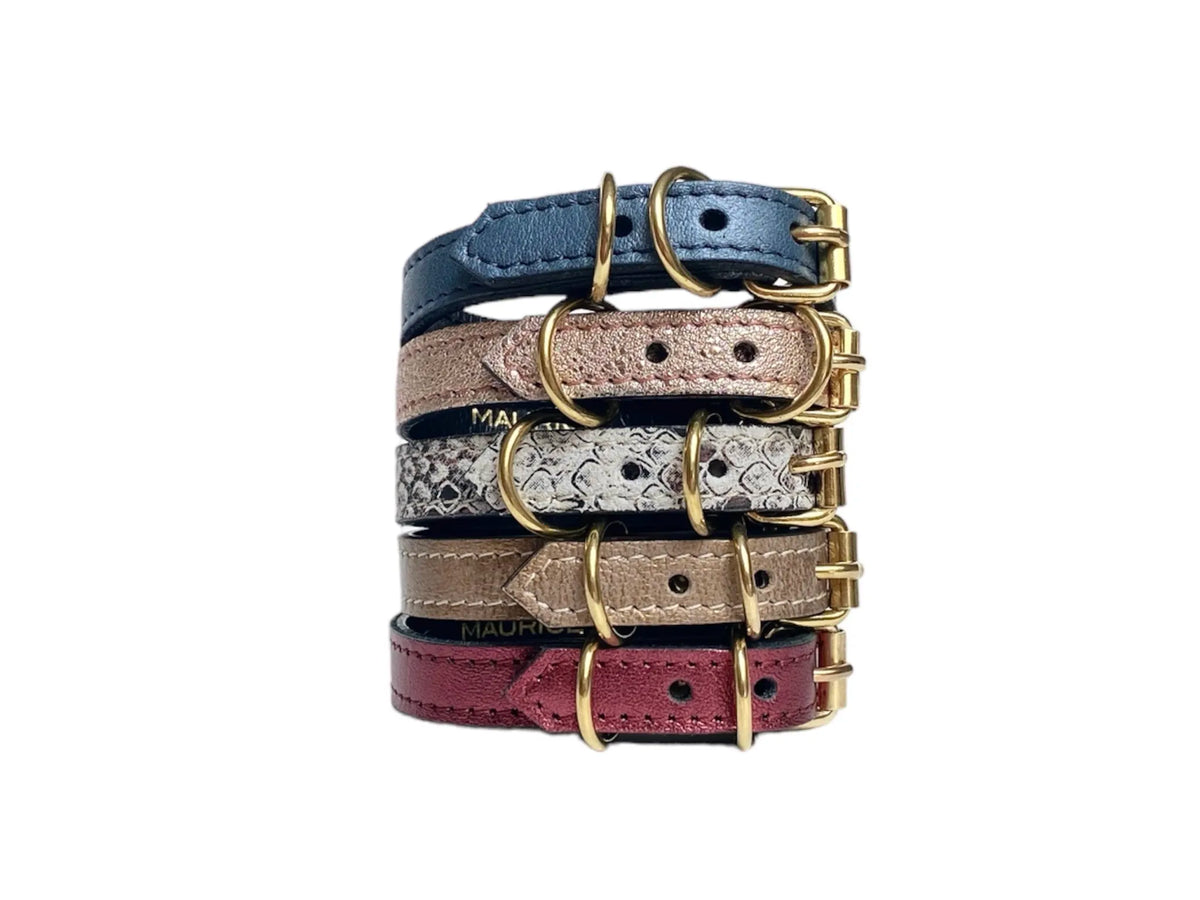 Collier pour chihuahua en cuir MEGAPTERA NOVAEANGLIAE - 1
