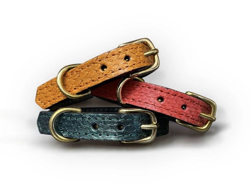 Collier pour petit chien en cuir marin PONGO - 1