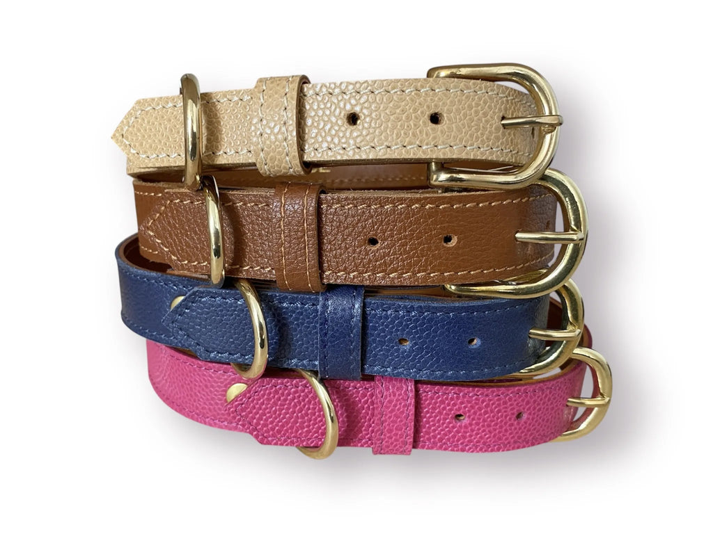 Collier pour chien en cuir grainé AILURUS FULGENS - 2