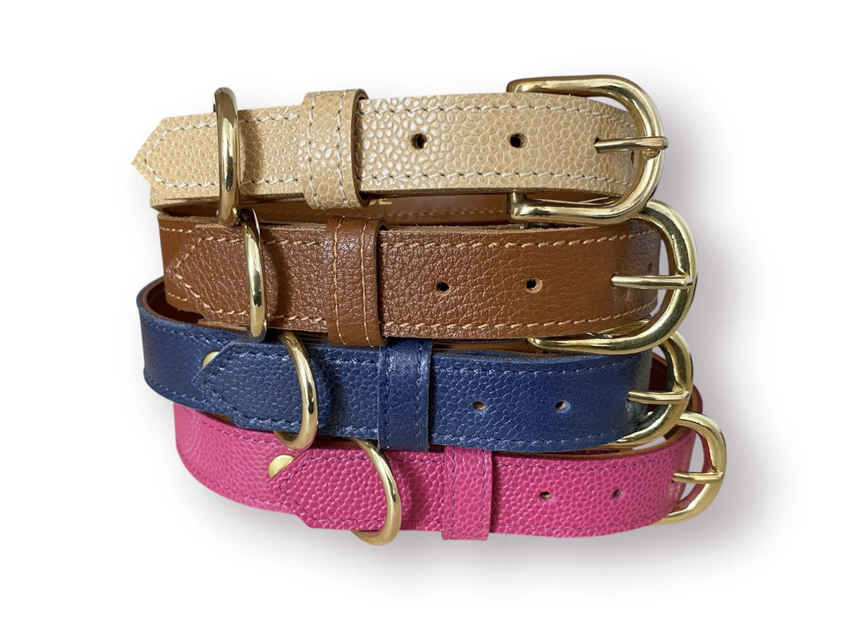 Collier pour chien en cuir grainé AILURUS FULGENS - 2