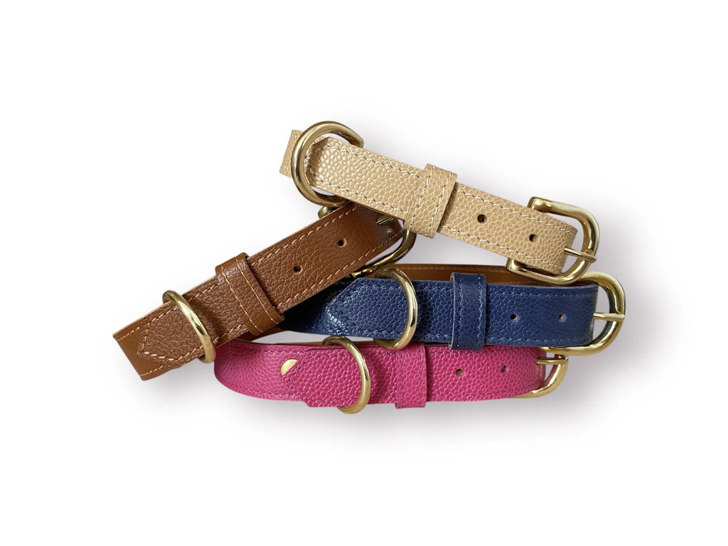 Collier pour chien en cuir grainé AILURUS FULGENS - 1