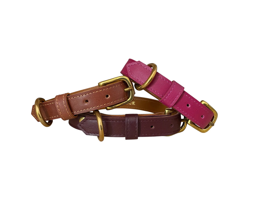 Collier pour chien en cuir HYÆNA BRUNNEA - 1