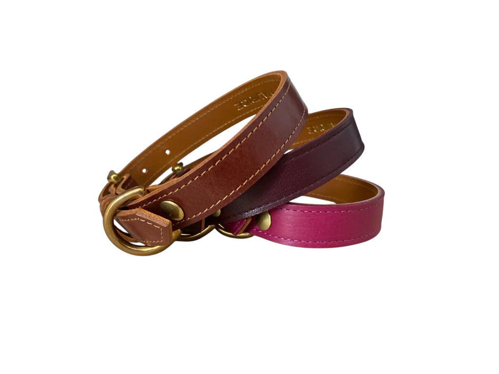 Collier pour chien en cuir HYÆNA BRUNNEA - 2