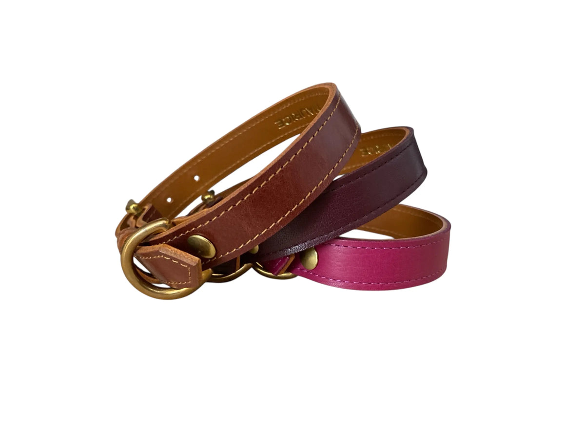 Collier pour chien en cuir HYÆNA BRUNNEA - 2