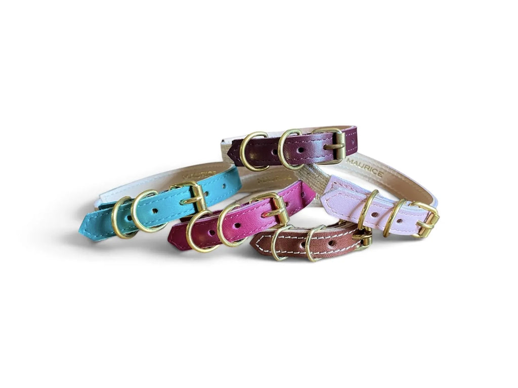 Collier pour chat en cuir ACINONYX JUBATUS - 1