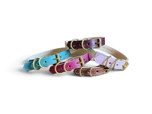 Collier pour chat en cuir ACINONYX JUBATUS - 1