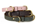 Collier pour chien en nubuck URSUS ARCTOS - 1