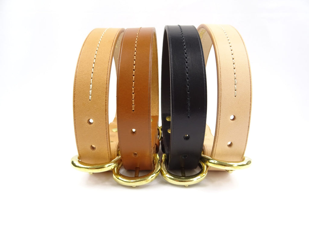 Collier pour chien en cuir CANIS LUPUS - 1