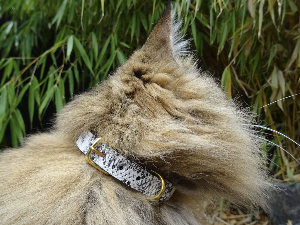Collier pour chat en cuir PANTHERA PARDUS ORIENTALIS - 2