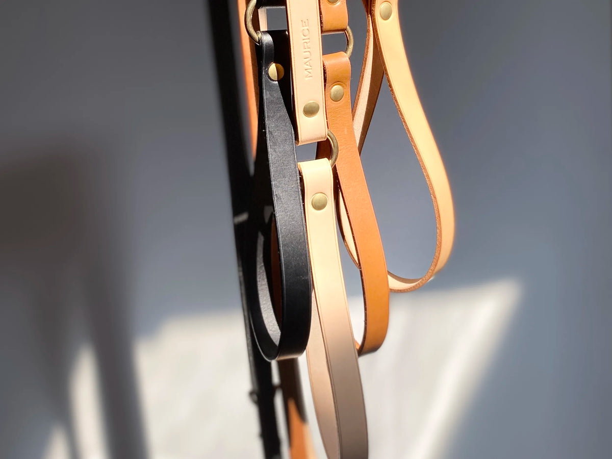 Laisse en cuir pour chien DUGONG DUGON - 1