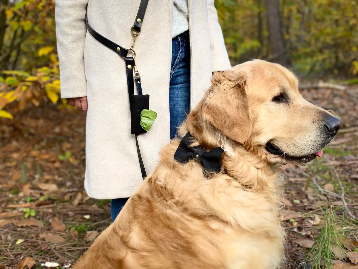 Grande laisse polyvalente en cuir pour chien RHINOCEROS SONDAICUS - 2