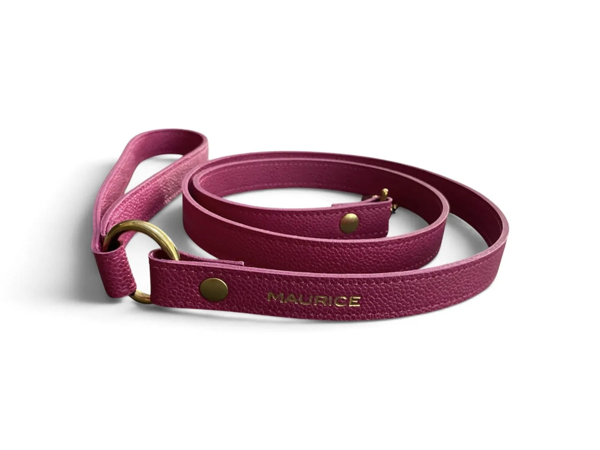 Laisse en cuir pour chien PAN PANISCUS - 2
