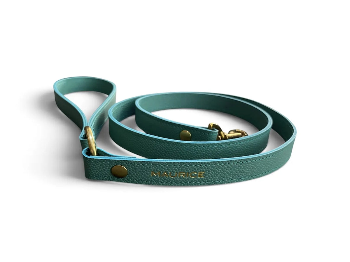 Laisse en cuir pour chien PAN PANISCUS - 5