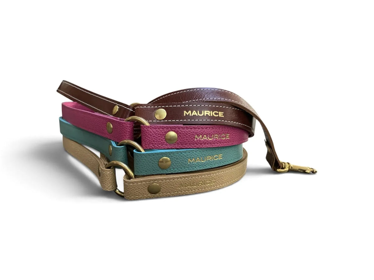 Laisse en cuir pour chien PAN PANISCUS - 1